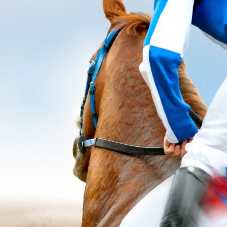 CDI and DraftKings Partner to Develop and Launch Horse Racing Wagering Product DK Horse